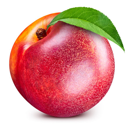 Peach with leaves isolated on white background. Peach clipping path. Professional food photographyの写真素材