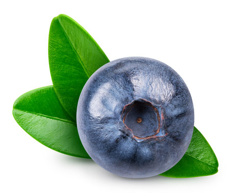 Blueberry isolated. Blueberry on white. Full depth of field. With clipping pathの写真素材