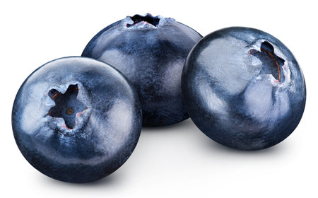 Blueberry isolated. Blueberry on white. Full depth of field. With clipping pathの写真素材