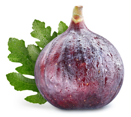 Wet fig. Fresh organic fig isolated on white background. Fig macroの写真素材