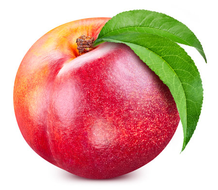 Peach isolated. Fresh organic peach with leaves on white background. Peach with clipping pathの写真素材