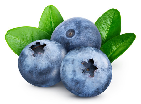 Blueberry Clipping Path. Ripe whole blueberry fruit with green leaf isolated on white background with clipping path. Blueberry fruit macro studio photoの写真素材