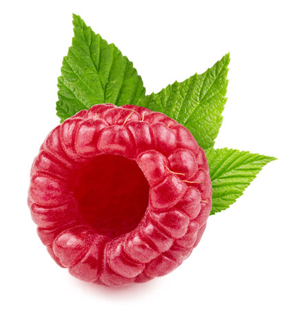 One fresh raspberry with leaves. Fresh organic raspberry isolated on white background. Raspberry macroの写真素材