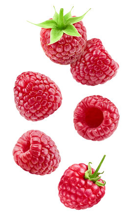 Flying ripe raspberries isolated on white background. Raspberry collection with clipping path. Raspberries stack full depth of field macro shot.の写真素材