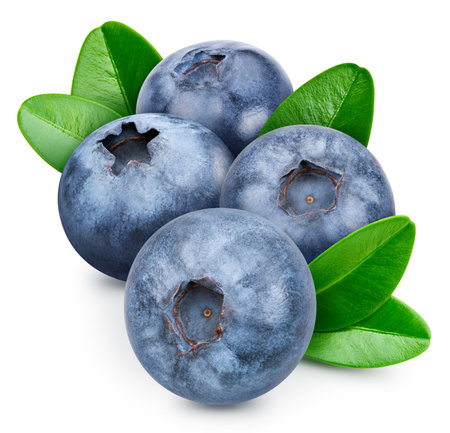 Blueberry isolated on white background. Blueberry half macro studio photo. Blueberry with leaves. With clipping pathの写真素材