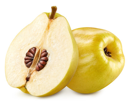 Quince clipping path. Organic fresh quince isolated on white. Full depth of fieldの写真素材