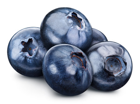 Blueberry clipping path. Organic fresh blueberry isolated on white. Full depth of fieldの写真素材