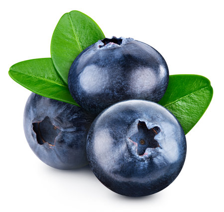 Blueberry isolated on white background. Blueberry half macro studio photo. Blueberry with leaves.の写真素材