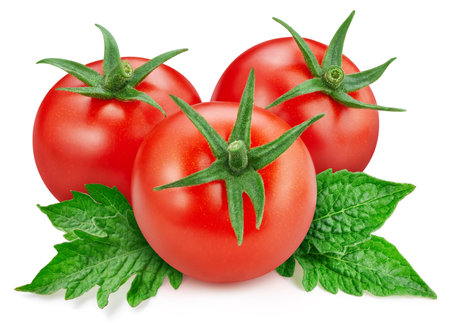 Isolated tomato with leaf. Whole tomato vegetable and slice tomato on white background with clipping path. High End Retouchingの写真素材