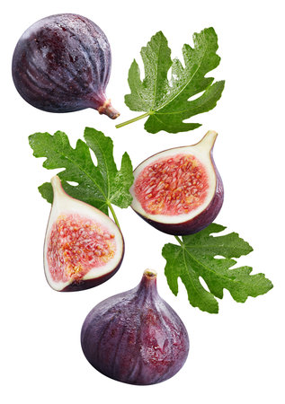 Creative layout with ripe flying fig halves on light background. Healthy food, diet, tropical exotic fruit, trendy food product. Organic figの写真素材