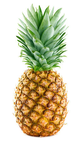 Pineapple. Fresh organic pineapple with leaves isolated on white background.の写真素材