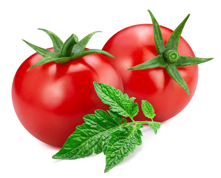 Ripe tomato with leaves clipping path. Organic fresh tomato isolated on white. Image stack full depth of field macro shotの写真素材