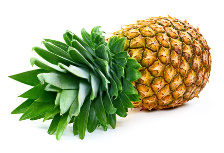 Pineapple isolated. Pineapple  white. Full depth of field.の写真素材