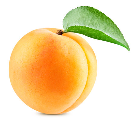 Organic apricot isolated on white background. Taste apricot with leaf with clipping pathの写真素材