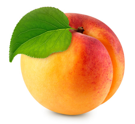 Apricot. Organic fresh apricot isolated on white backgroundの写真素材