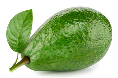 Organic avocado isolated on white background. Avocado and leaves avocado on white background.の写真素材