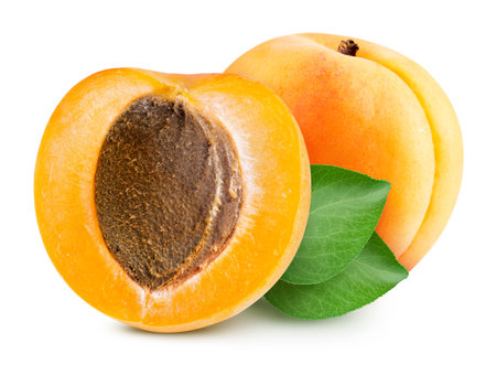 Apricot fruit with apricot half and leavesの写真素材