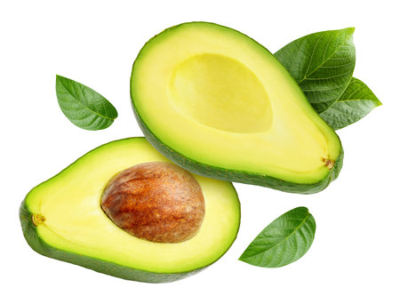 Ripe avocado with leaves. Organic avocado isolated on whiteの写真素材