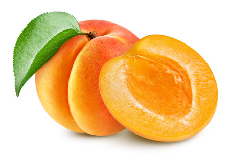 Apricot. Apricot with leaves isolated on whiteの写真素材