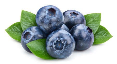 Organic blueberry isolated on whiteの写真素材