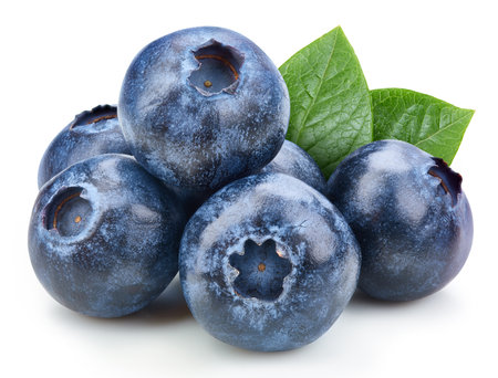 Blueberry with leaves. Organic blueberry isolated on whiteの写真素材