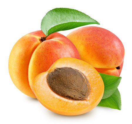 Apricot and half isolated on white background. Apricot with leavesの写真素材
