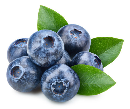 Blueberry berry with blueberry leaf isolated on white background.の写真素材