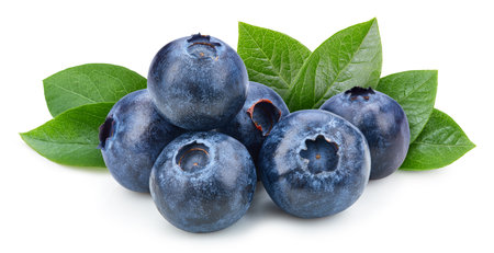 Blueberry isolated on white background. Clipping path. Fresh organic blueberry.の写真素材