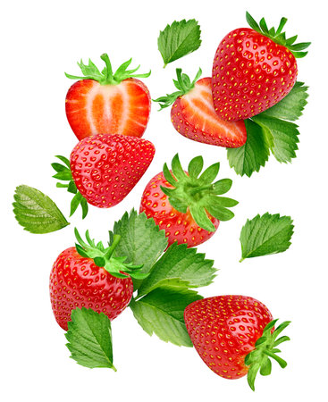 Strawberry Clipping Path. Ripe whole strawberry fruit with green leaf and slice isolated on white background with clipping path. Strawberry fruit set macro studio photoの写真素材