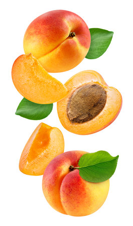 Flying ripe apricot with green leaves isolated on whiteの写真素材