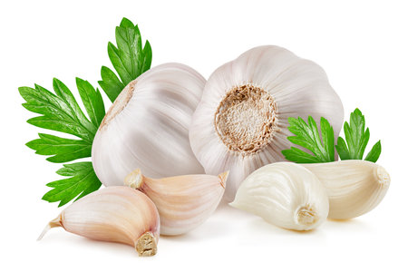 Garlic with leaf isolated on whiteの写真素材