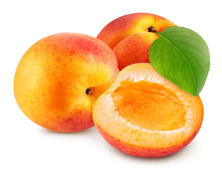Apricot isolated on white background. Fresh organic apricot.の写真素材