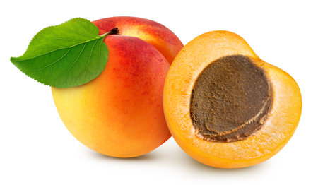 Apricot fruit with apricot half and leaves isolated on white background.の写真素材