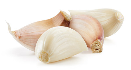Fresh organic garlic. Garlic isolated on white background.の写真素材