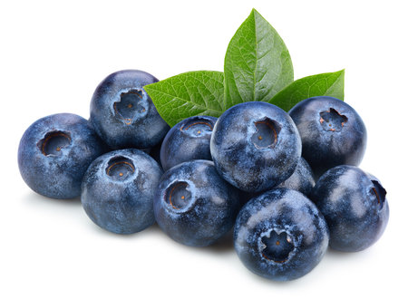 Blueberry isolated on white background.  Fresh organic blueberry.の写真素材