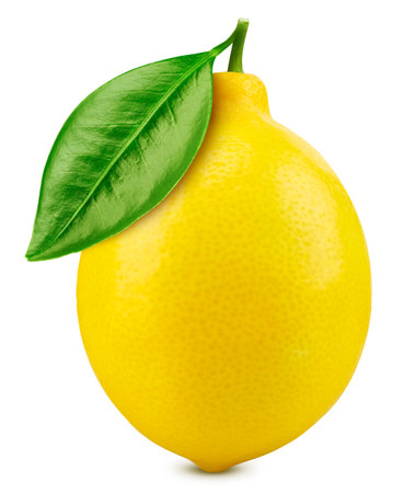 Isolated lemon. Fresh organic lemon with leaves  . Lemon macro studio photo. High End Retouchingの写真素材