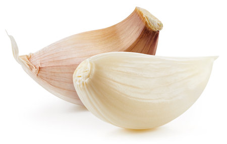 Fresh organic garlic. Garlic isolated on white background.の写真素材