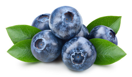 Blueberry with leaf isolated on white background.の写真素材