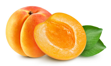 Apricot and half isolated on white background.の写真素材