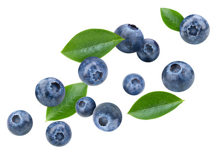 Blueberry with leaf isolated on white background.の写真素材