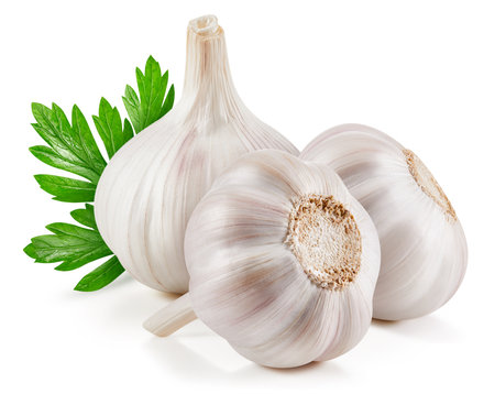 Garlic with leaf isolated on white background.の写真素材