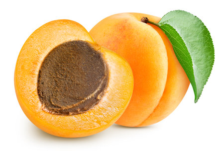 Apricot fruit with apricot leaf on white background. File contains clipping path.の写真素材