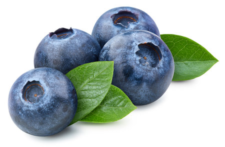 Blueberry with leaves isolated on white background. Blueberry with clipping path. Blueberry on white.の写真素材