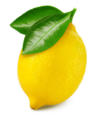 Lemon fruit with lemon leaf isolated on white background. One whole lemon fruit on white background  . As design element.の写真素材