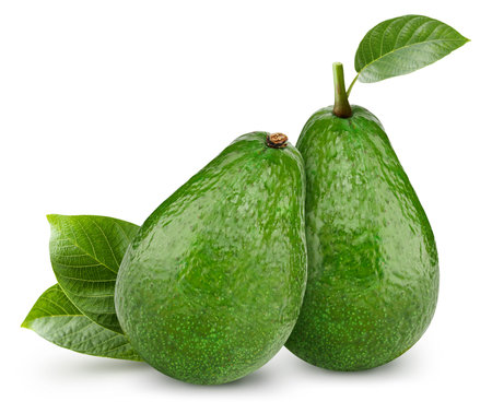 Avocado isolated on white background. Ripe fresh avocado Clipping Path. Avocado with leafの写真素材