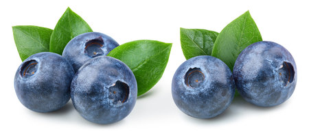 Blueberry on white. Blueberry with leaves isolated on white background. Blueberry with clipping pathの写真素材