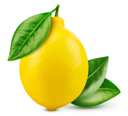 Lemon fruit with lemon leaf isolated on white background.の写真素材