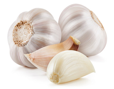 Fresh organic garlic. Garlic isolated on white background.の写真素材
