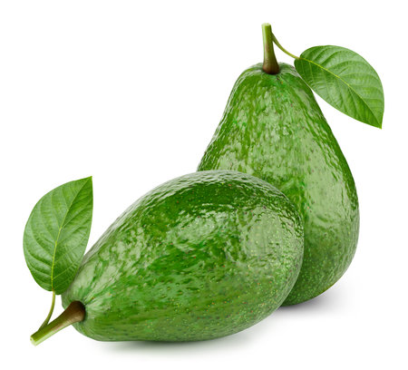 Avocado isolated on white background.の写真素材