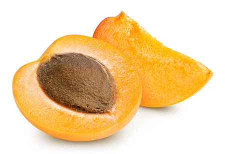 Half apricot on white background. Apricot isolated on white background.の写真素材